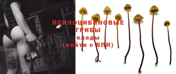 круглые Арсеньев
