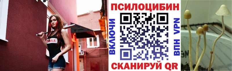 мега зеркало Спасск-Рязанский Псилоцибиновые грибы мухоморы